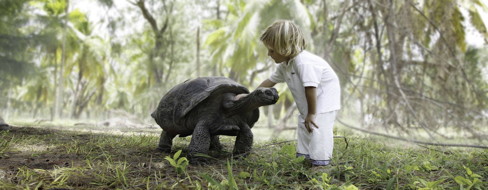 Unique Luxury Holidays to The Seychelles